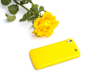 Similar image 8230229