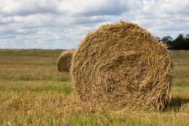 Similar image 8230262