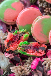 Similar image 8230319