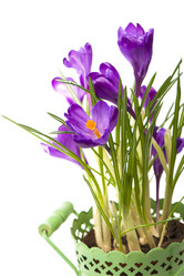 Similar image 8230365