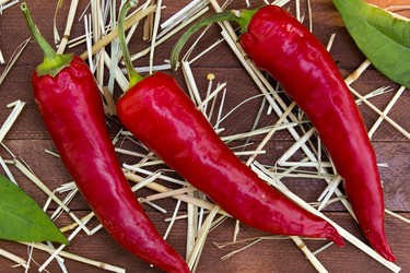 Similar image 8230418