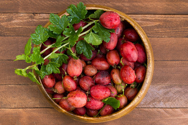 Similar image 8230420