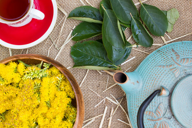 Similar image 8230441