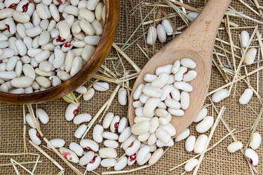 Similar image 8230443