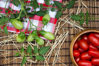 Similar image 8230451