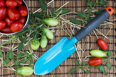 Similar image 8230456