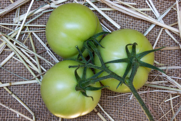 Similar image 8230675