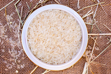 Similar image 8230683