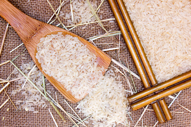 Similar image 8230684