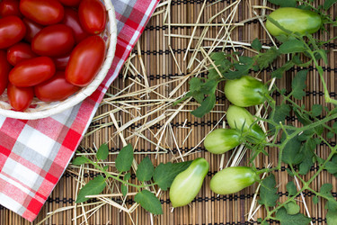 Similar image 8230692