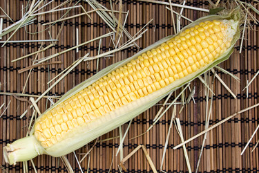 Similar image 8230694