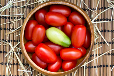 Similar image 8230697