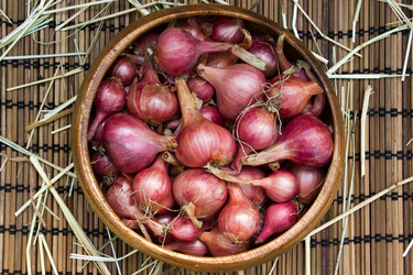 Similar image 8230707