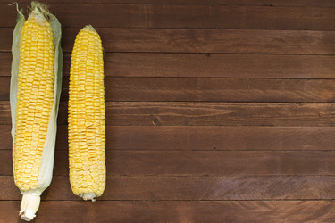 Similar image 8230711