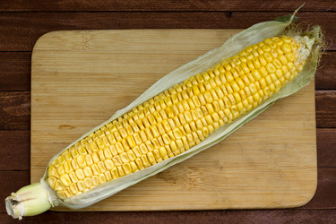 Similar image 8230713