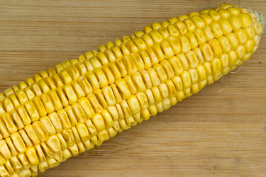 Similar image 8230716