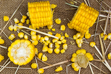 Similar image 8230722