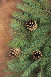 Similar image 8230798