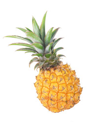 Similar image 8230826