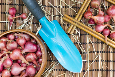 Similar image 8230832