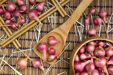 Similar image 8230833