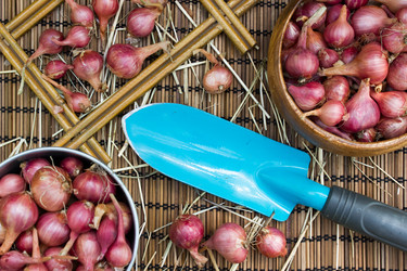 Similar image 8230834