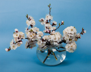 Similar image 8230881