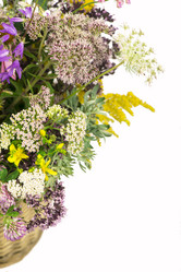 Similar image 8230896