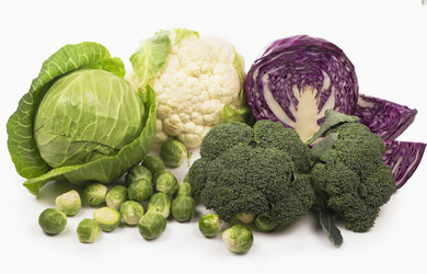 Similar image 8230951