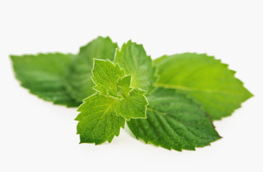 Similar image 8230957