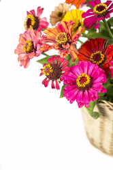 Similar image 8230964