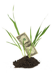 Similar image 8231007