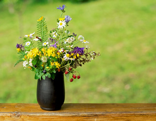 Similar image 8231058