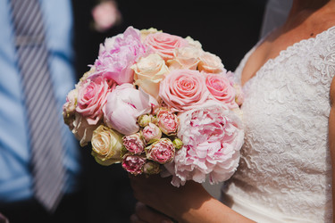 Similar image 8231091