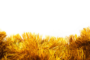 Similar image 8231122