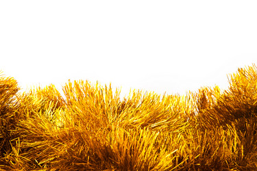 Similar image 8231123