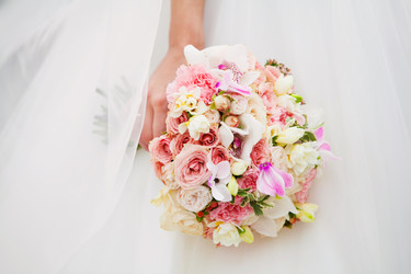 Similar image 8231135