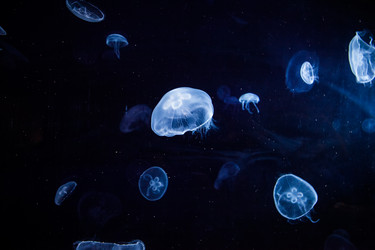 Similar image 8231178