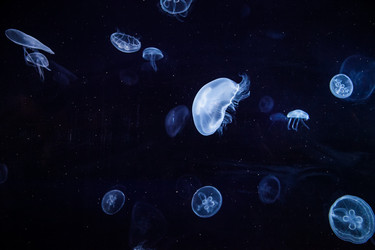 Similar image 8231182