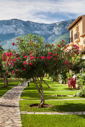 Similar image 8231188