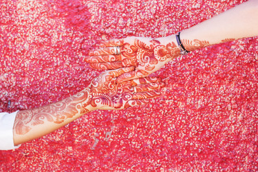 Similar image 8231252