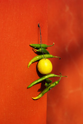 Similar image 8231263