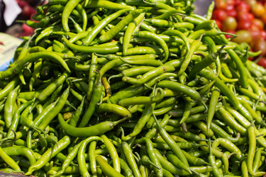 Similar image 8231282