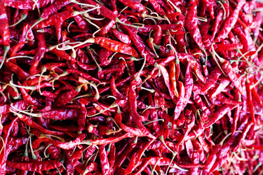 Similar image 8231289