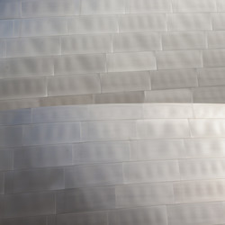 Similar image 8231335