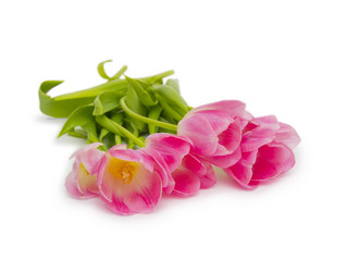 Similar image 8231616