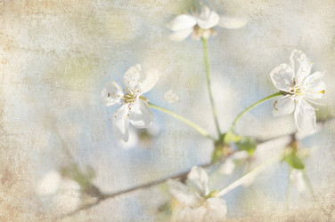 Similar image 8231756