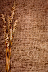 Similar image 8231776