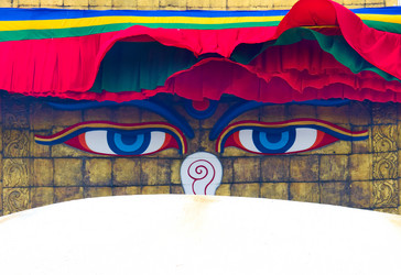 Similar image 8231778