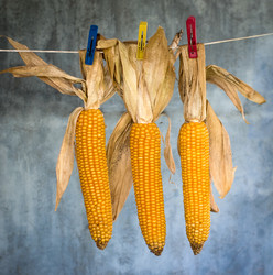 Similar image 8231785